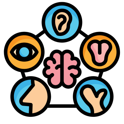 Sensory Support